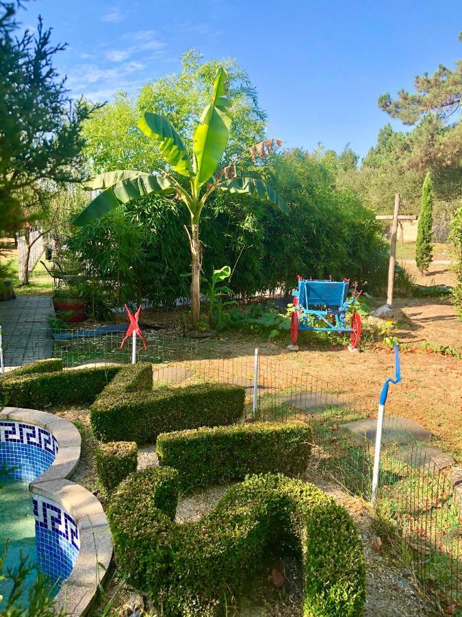 Casa Da Quinta Da Prelada Simao Villa เซลอริโก จิ บาสโต ภายนอก รูปภาพ