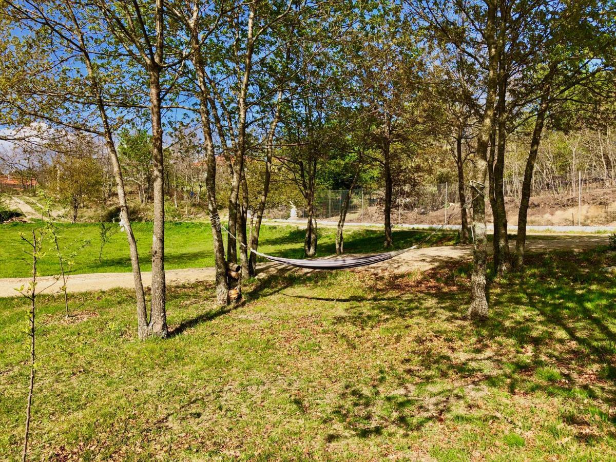 Casa Da Quinta Da Prelada Simao Villa เซลอริโก จิ บาสโต ภายนอก รูปภาพ