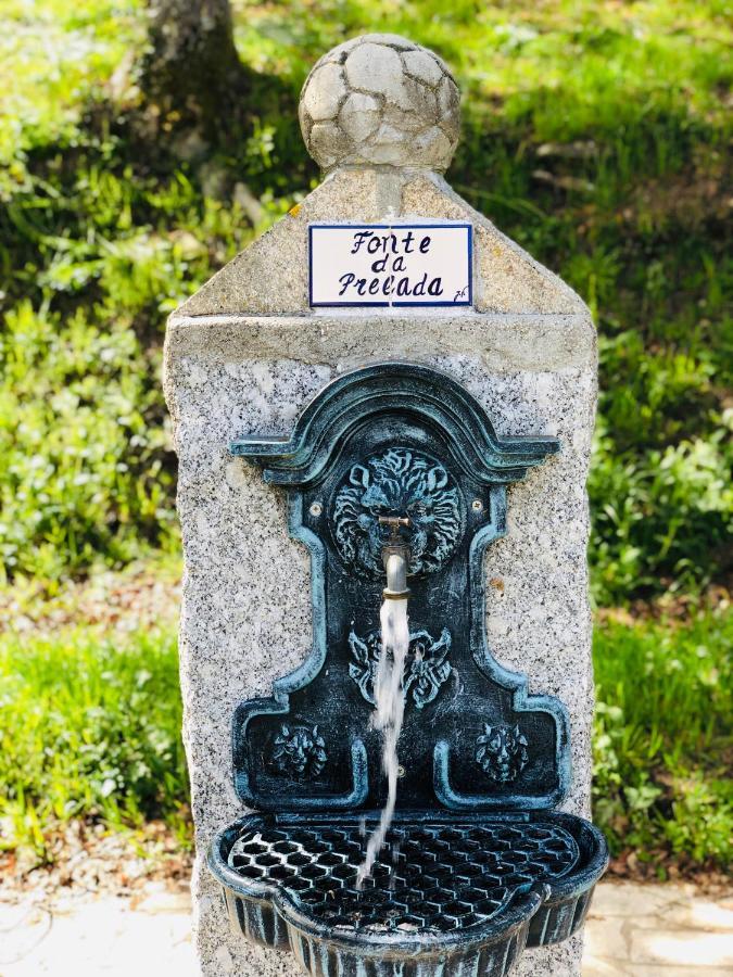 Casa Da Quinta Da Prelada Simao Villa เซลอริโก จิ บาสโต ภายนอก รูปภาพ