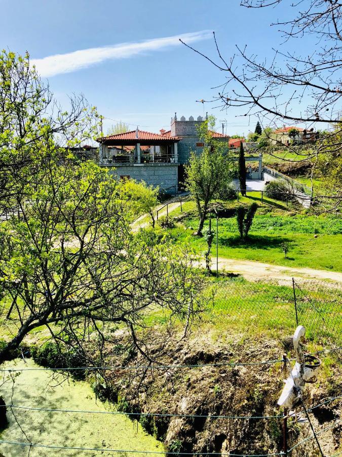 Casa Da Quinta Da Prelada Simao Villa เซลอริโก จิ บาสโต ภายนอก รูปภาพ